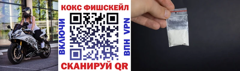 закладка  Бийск  Cocaine Fish Scale 
