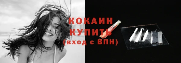спайс Бородино