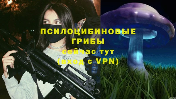 спайс Бородино